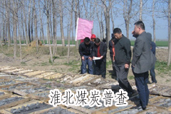 淮北煤炭普查.jpg